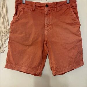 American Eagle Outfitters Men's Rust Shorts